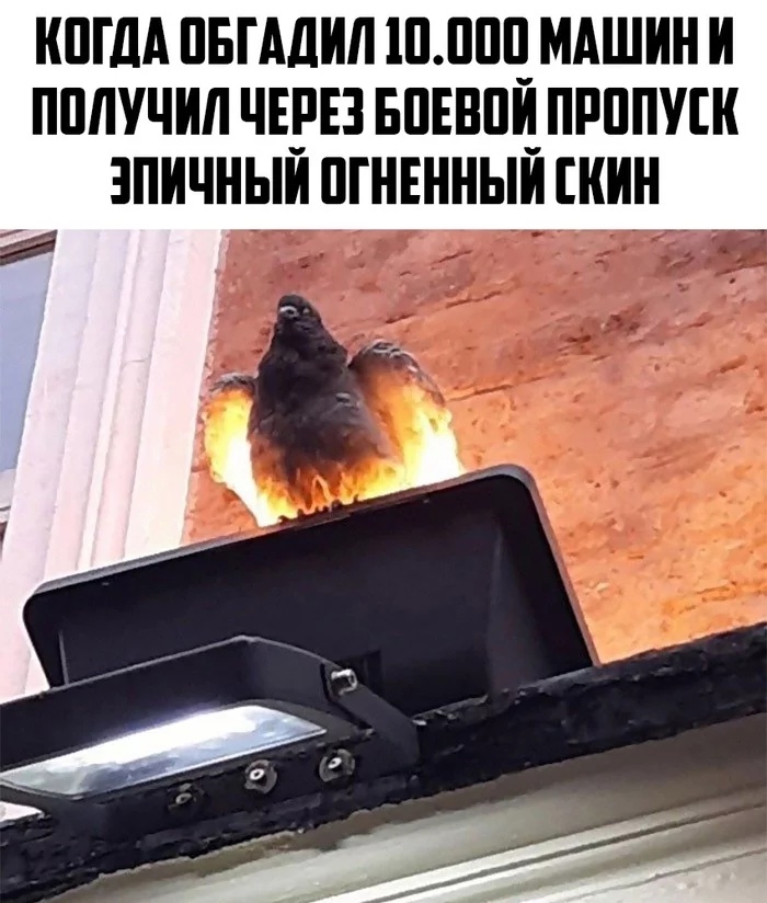 КПША ПБГАДИЛ Ш111_МАШИН И ПППУЧИЛ ЧЕРЕЗ БПЕВЩПРППУШ ЗПИЧНЫИ ПГНЕННЫИ ШИН