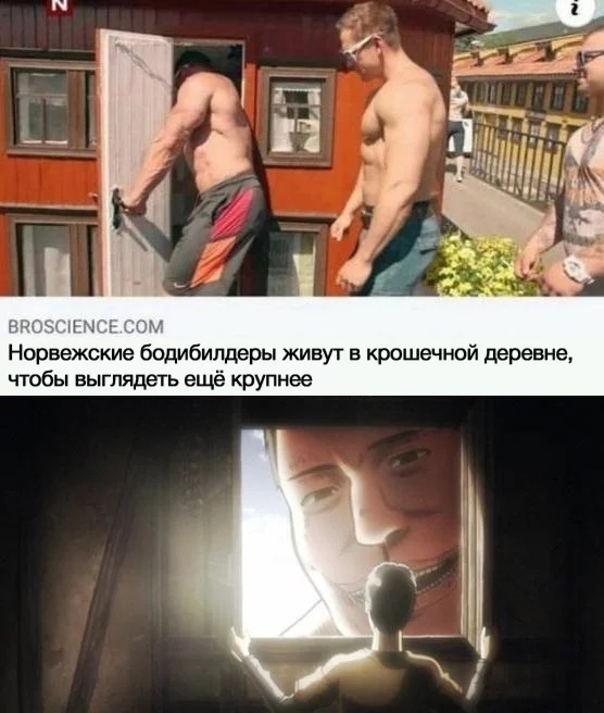 Норвежские бодибилдеры живут в крошечной деревне чтобы выглядеть ещё крупнее