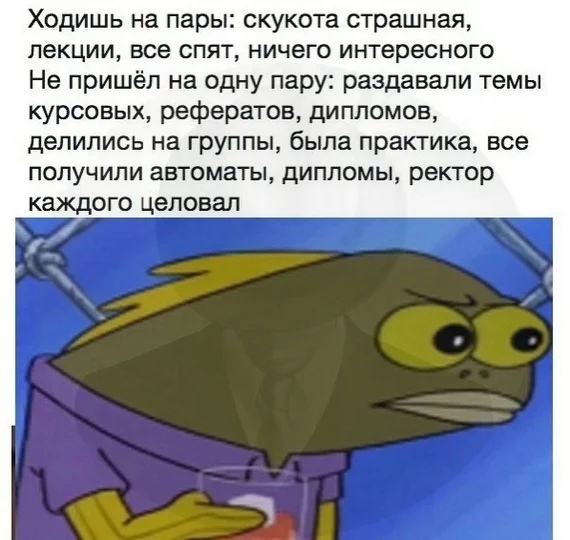 Ходишь на пары скукота страшная лекции все спят ничего интересного Не пришёл на одну пару раздавали темы курсовых рефератов дипломов делились на группы была практика все получили автоматы дипломы ректор каждого целовал