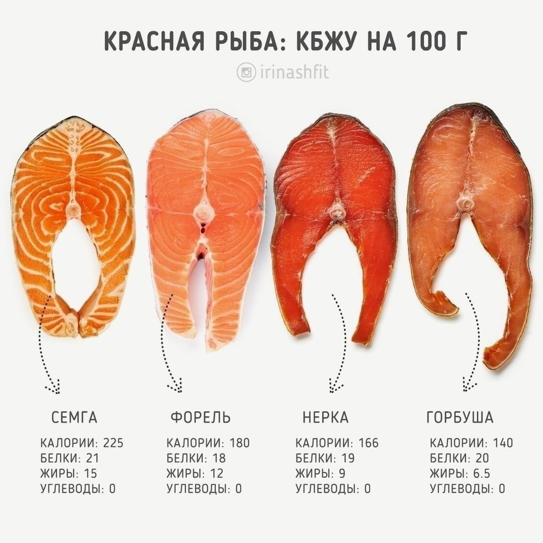 КРАСНАЯ РЫБА КБЖУ НА 100 Г СЕМГА КАЛОРИИ 225 БЕЛКИ 21 ЖИРЫ 15 УГЛЕВОДЫ 0 ФОРЕЛЬ КАЛОРИИ 180 БЕЛКИ 18 ЖИРЫ 12 УГЛЕВОДЫ О НЕРКА КАЛОРИИ 166 БЕПКИ 19 ЖИРЫ 9 УГЛЕВОДЫ О ГОРБУША КАЛОРИИ 140 БЕПКИ 20 ЖИРЫ 65 УГЛЕВОДЫ 0