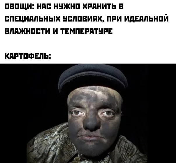 ПВПЩИ НПП ННЖНП ХРПНИТЬ В ППЕЦИМЬНЫХ НПЛПВИПХ ПРИ ИДЕМЬНПЙ ВППЖНППТИ И ТЕМПЕРАТНРЕ КПРТПФЕЛЬ