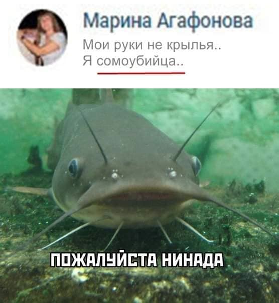Марина Агафонова Мои руки не крылья Я сомоубийца ПЦЖЯП ЙБТП НИНддд