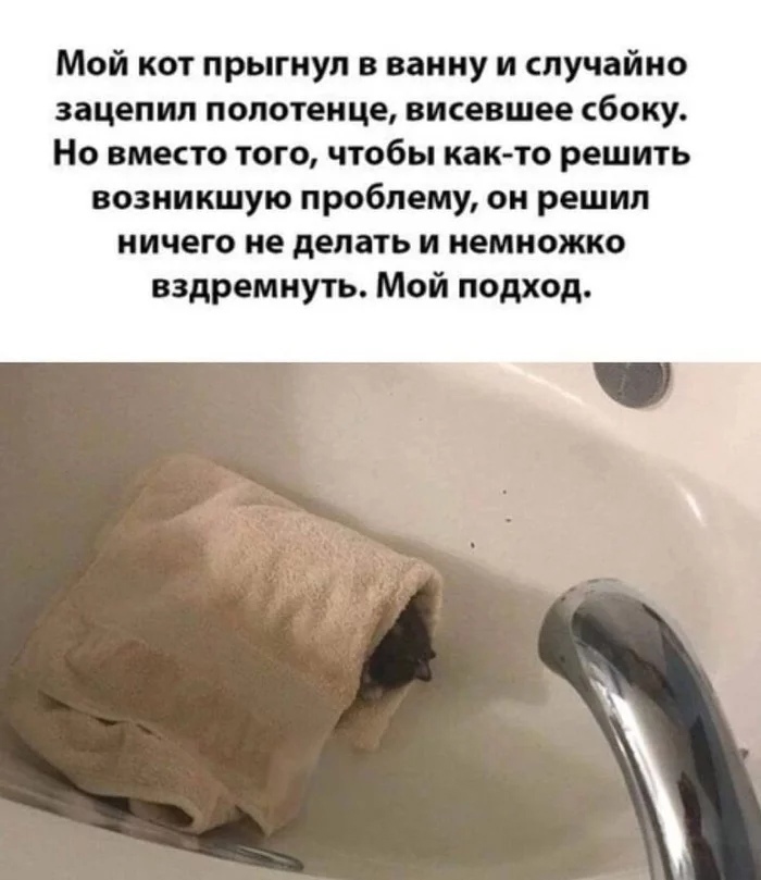 Мой кот прыгнул в ванну и случайно зацепил полотенце висевшее сбоку Но вместо того чтобы как то решить возникшую проблему он решил ничего не делать и немножко вздремнуть Мой подход