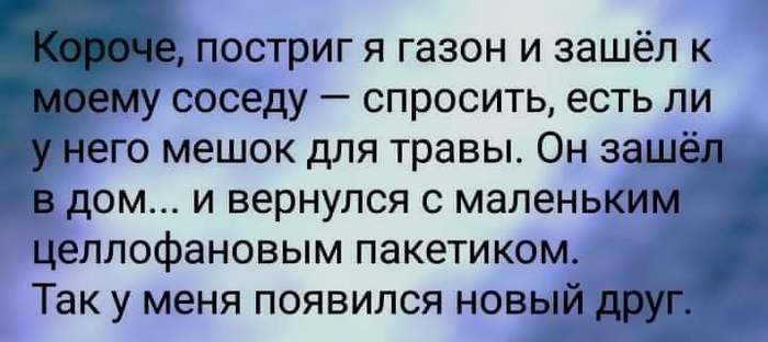 _ постриг я газон и зашёл к у соседу спросить есть ли его мешок для травы Он заш дом и вернулся с маленьким целлофановым пакетиком Так у меня появился новый