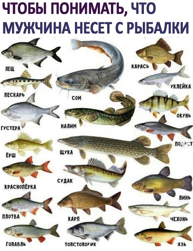 ЧТОБЫ ПОНИМАТЬ ЧТО МУЖЧИНА НЕСЕТ С РЫБАЛКИ