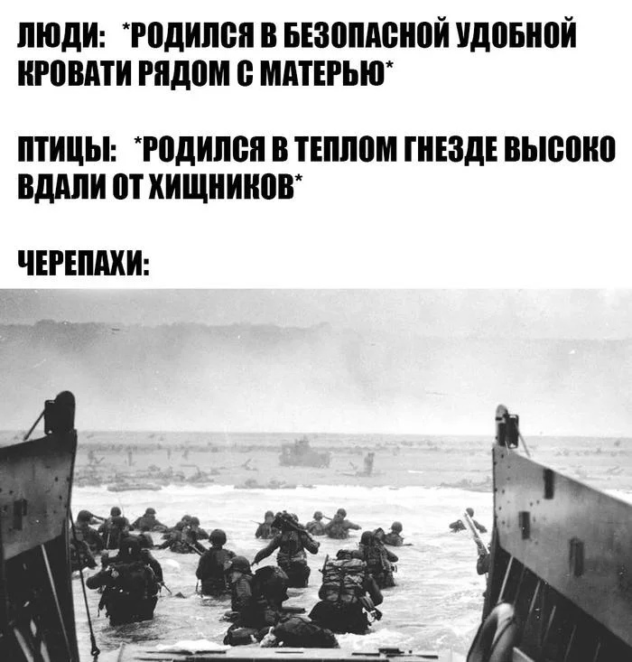 ЛЮДИ РВДИЛБП В БЕЗВШШЮЙ идовнпй ЮВА гидом 0 ММЕРЬЮ ПТИЦЫ юдипеп В ТЕППЁМ ШЕЗДЕ ВЬЮШЮ вддпи 0 ХИЩНШЮВ ЧЕРЕШШИ