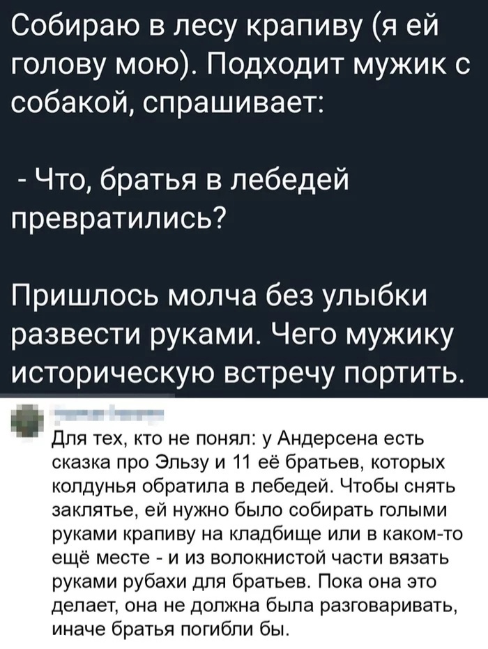 Собираю в лесу крапиву я ей голову мою Подходит мужик с собакой спрашивает Что братья в лебедей превратились Пришлось молча без улыбки развести руками Чего мужику историческую встречу портить Для тех кто не понял у Андерсена есть сказка про Эльзу и 11 её братьев которых колдунья обратила в лебедей Чтобы снять заклятье ей нужно было собирать голыми руками крапиву на кладбище или в какомто ещё месте
