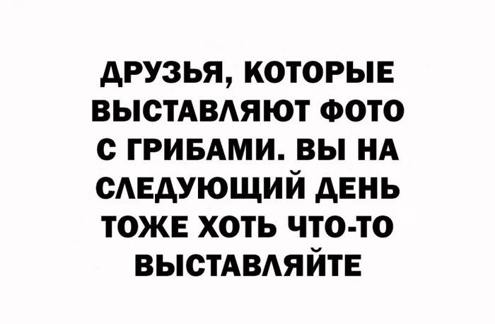 друзья которыв выстАВАяют ФОТО с ГРИБАМИ вы НА сдедующий день тожв хоть что то ВЫСТАВАЯЙТЕ