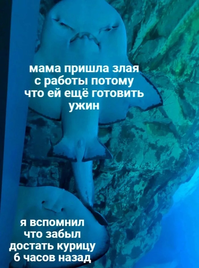 мама пришла злая с работы потому что ей ещё готовить ужин я вспомнил что забыл достать курицу 6 часов назад