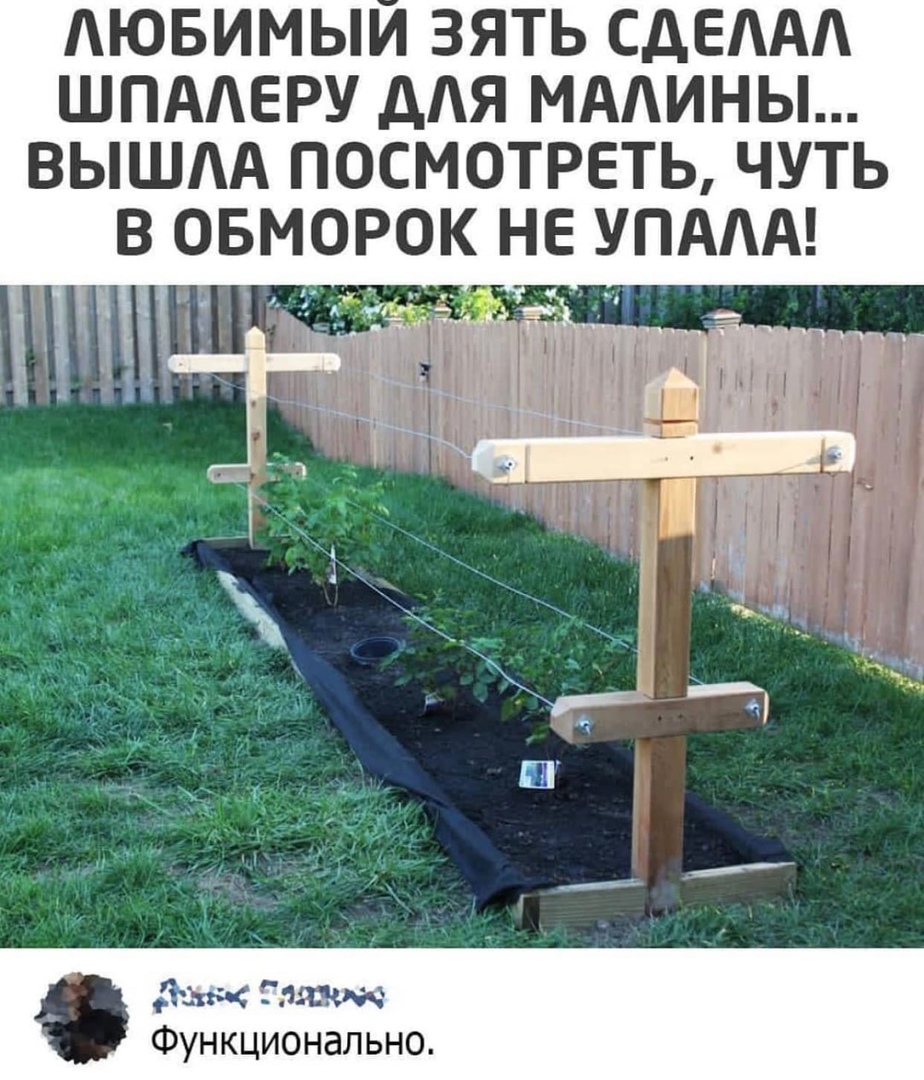 АЮБИМЫИ ЗЯТЬ СДЕААА ШПААЕРУ дАЯ МААИНЫ ВЫШАА ПОСМОТРЕТЬ ЧУТЬ Мы пмж Функционально