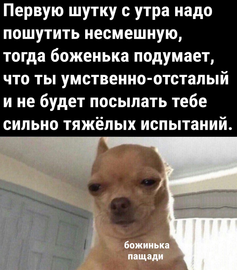 Первую шутку с утра надо пошутить несмешную тогда боженька подумает что ты умственно отсталый и не будет посылать тебе сильно тяжёлых испытаний
