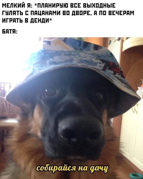 МЕЛКИЙ П ПЛПНИРНШ ВСЕ ВЫХППНЫЕ ГШШТЬ ППЦПНПМИ ВП дВПРЕ П ПП ВЕЧЕРПМ ИГРПТЬ Е дЕНдИ БНТИ