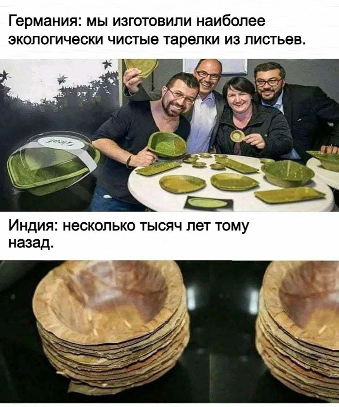 Германия МЫ ИЗГОТОВИПИ наиболее ЭКОПОГИЧЗСКИ чистые тарелки ИЗ листьев