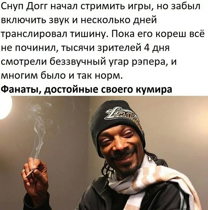 Снуп Догг начал стримить игры но забыл включить звук и несколько дней транслировал тишину Пока его кореш всё не починил тысячи зрителей 4 дня смотрели беззвучный угар рэпера и многим было и так норм Фанаты достойные своего кумира