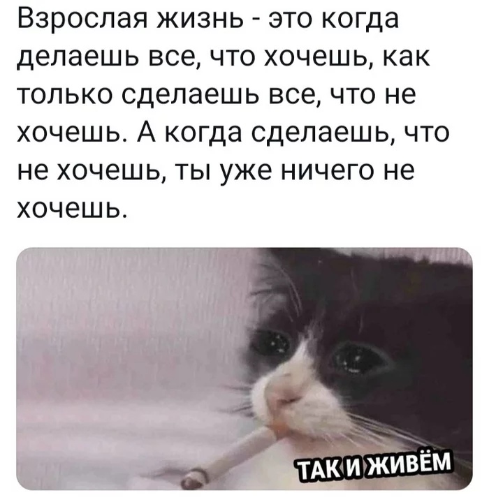 Взрослая ЖИЗНЬ ЭТО когда Делаешь все ЧТО ХОЧЕШЬ КЭК ТОЛЬКО сделаешь ВСЕ ЧТО не хочешь А когда сделаешь ЧТО не хочешь ТЫ уже ничего не хочешь