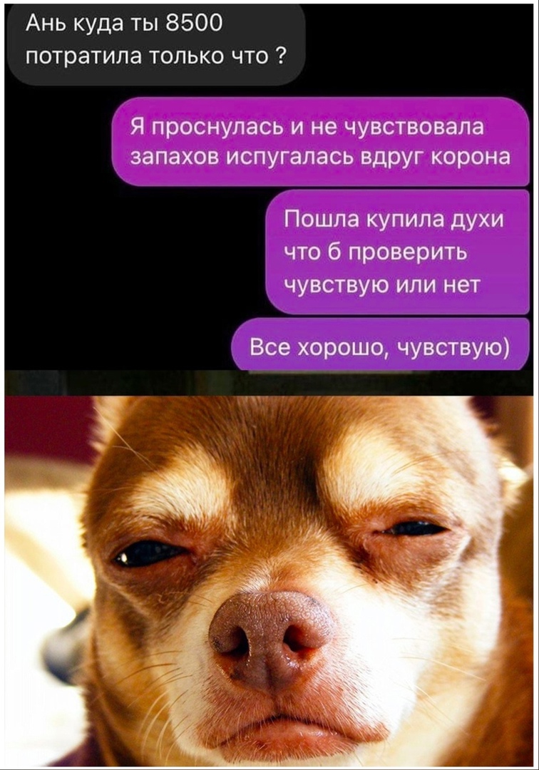 Ань куда ты 8500 потратила только что Я проснулась и не чувствовала запахов испугалась вдруг корона Пошла купила духи что б проверить чувствую или нет Все хорошо чувствую