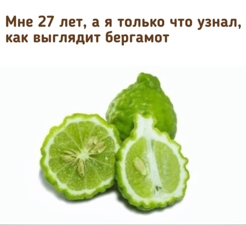 Мне 27 лет а я только что узнал как выглядит бергамот