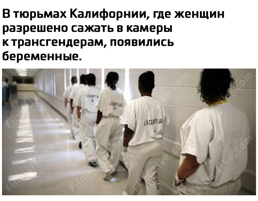 В тюрьмах Калифорнии где женщин разрешено сажать в камеры ктрансгендерам появились беременные