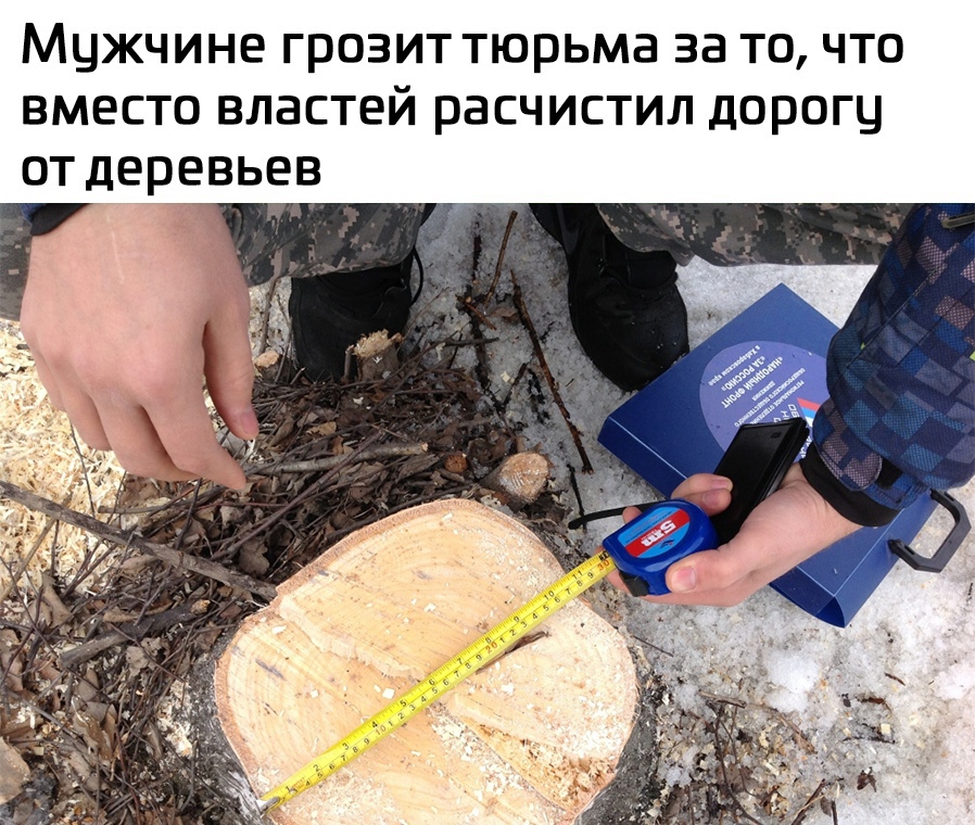 Мужчине грозит тюрьме за то что вместо властей расчистил дорогу от деревьев