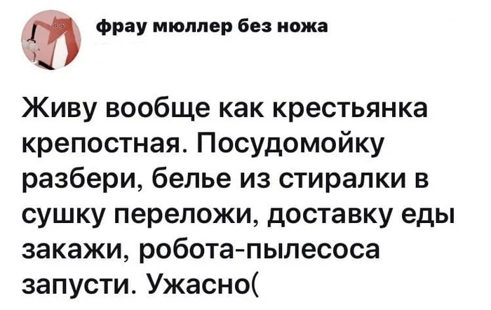 фрау мюлпер без иожа Живу вообще как крестьянка крепостная Посудомойку разбери белье из стиралки в сушку переложи доставку еды закажи робота пылесоса запусти Ужасно