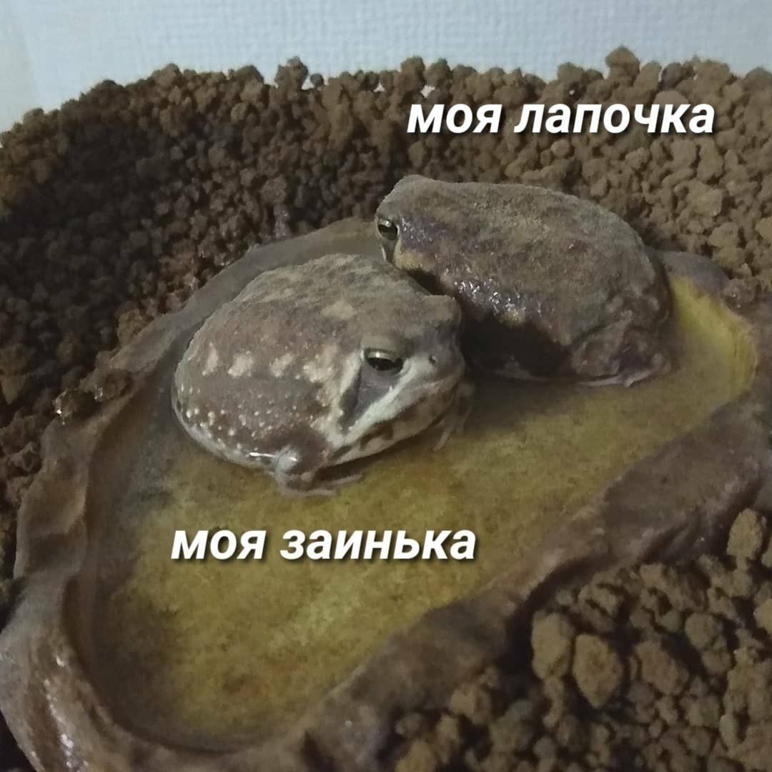 йоялапочКа ъ д _ і У щ