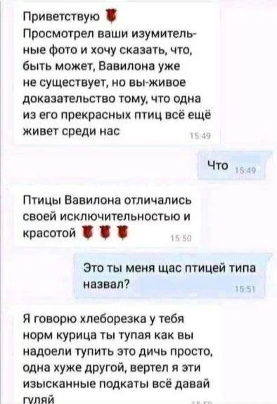 Приветствую Просмотрел ваши изумитель ные фото и хочу сказать что быть может Вавилона уже не существует но ввп живое доказательство тому что одна и его прекрасных птиц всё еще живет среди нас ЧШ ПТИЦЫ БЭБИЛОКЗ ОТЛИЧВЛИСЬ своей исключительностью и красотой это ты меня щас птицей типа назвал и Я говорю пеборезка у тебя норм курица ты тупая как вы надоели тупить это дичь просто одна хуже другой верте