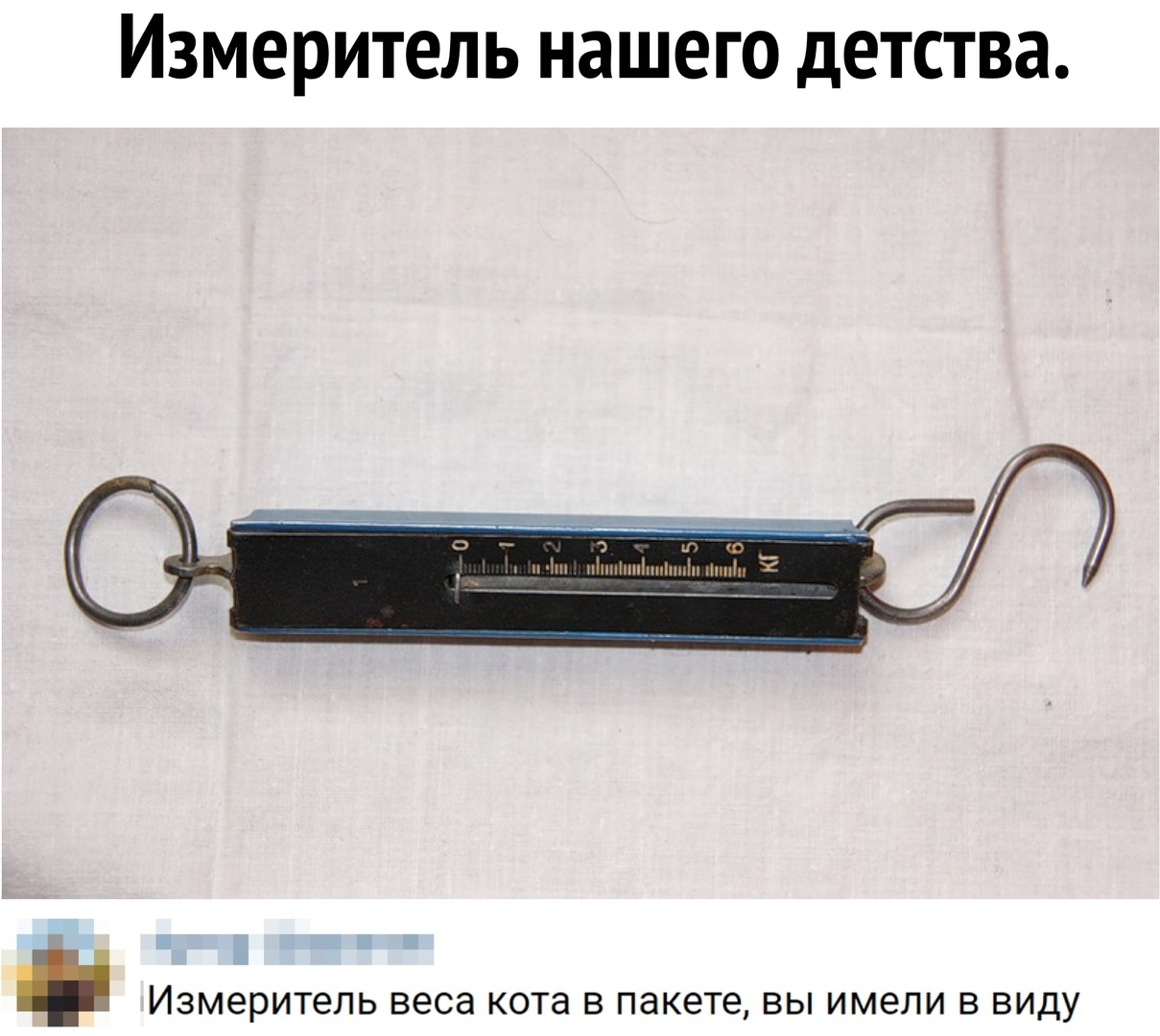 Измеритель нашего детства _ ИЗМЕРИТЕЛЬ веса кота В пакете ВЫ ИМЕЛИ В ВИДУ
