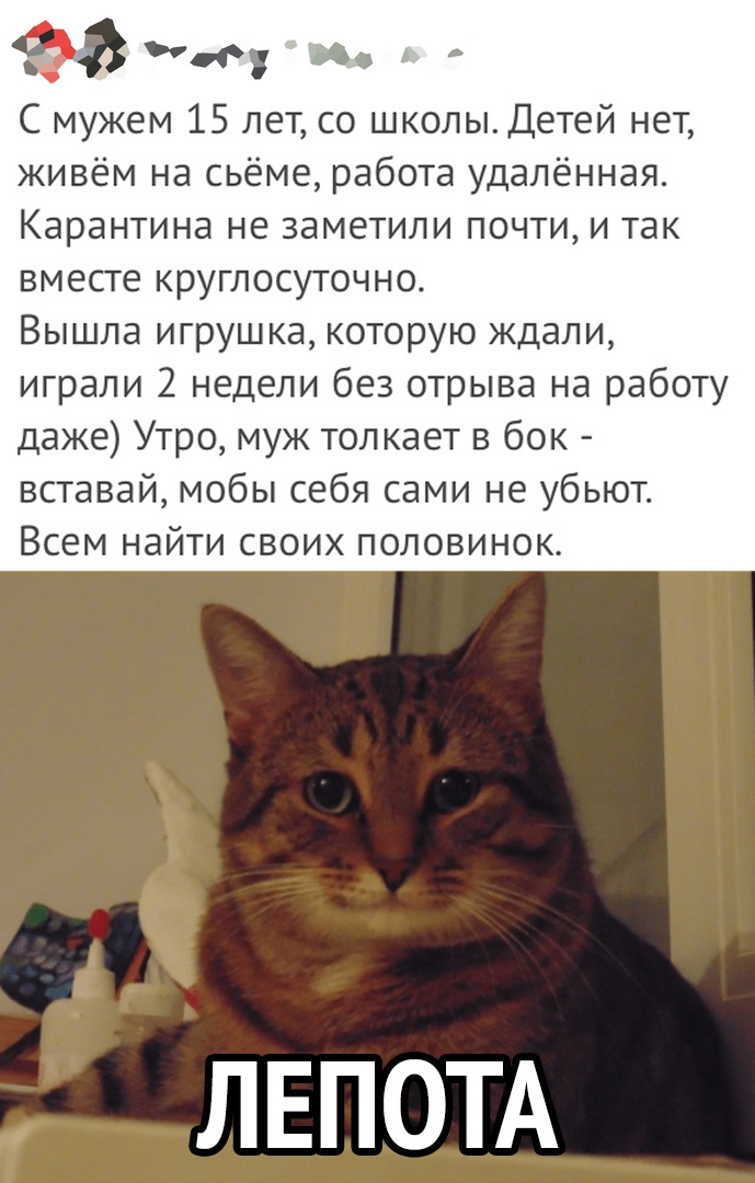 9 и С мужем 15 лет со школы Детей нет живём на сьёме работа удалённая Карантина не заметили почти и так вместе круглосуточно Вышла игрушка которую ждали играли 2 недели без отрыва на работу даже Утро муж толкает в бок вставай мобы себя сами не убьют Всем найти своих половинок ЛЕПОТА