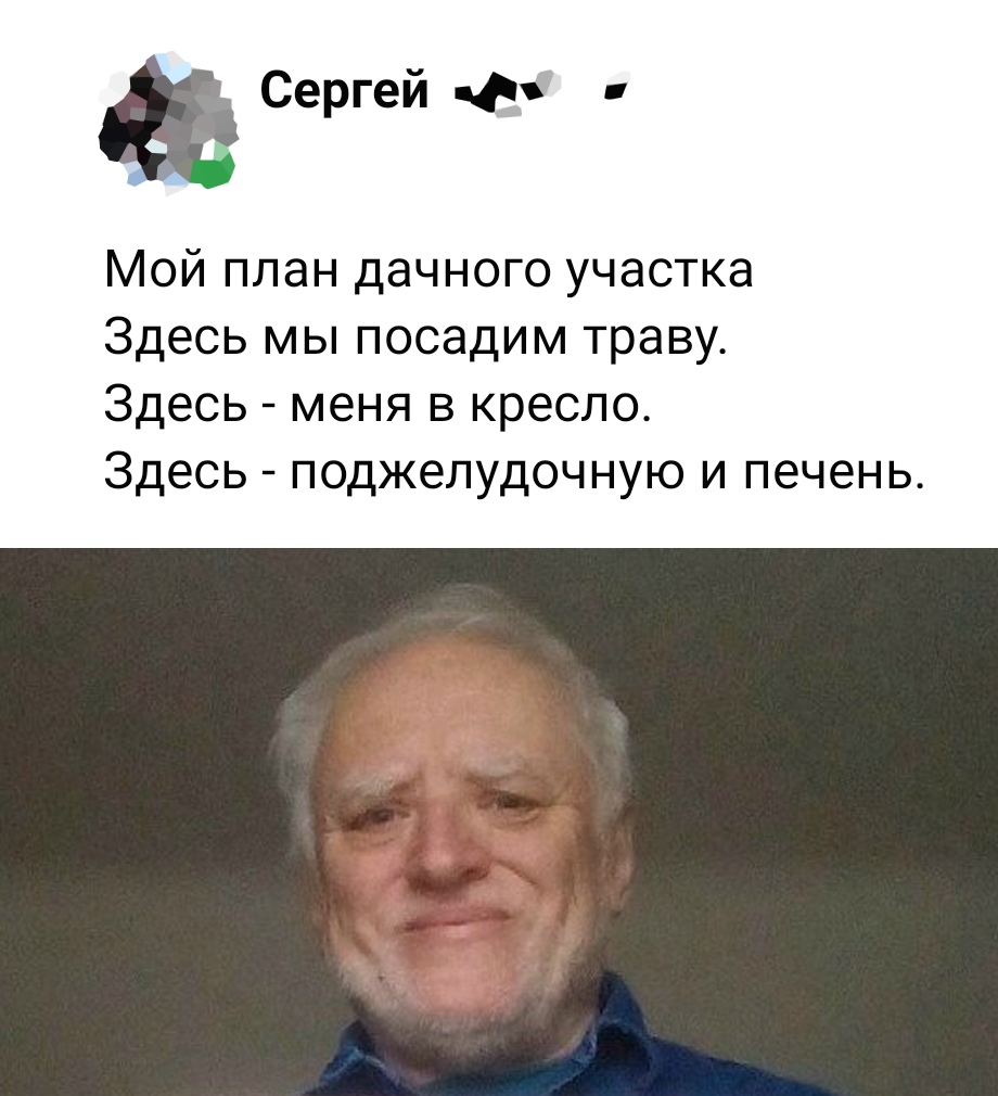 Сергей Ф Мой план дачного участка Здесь мы посадим траву Здесь меня в кресло Здесь поджелудочную и печень