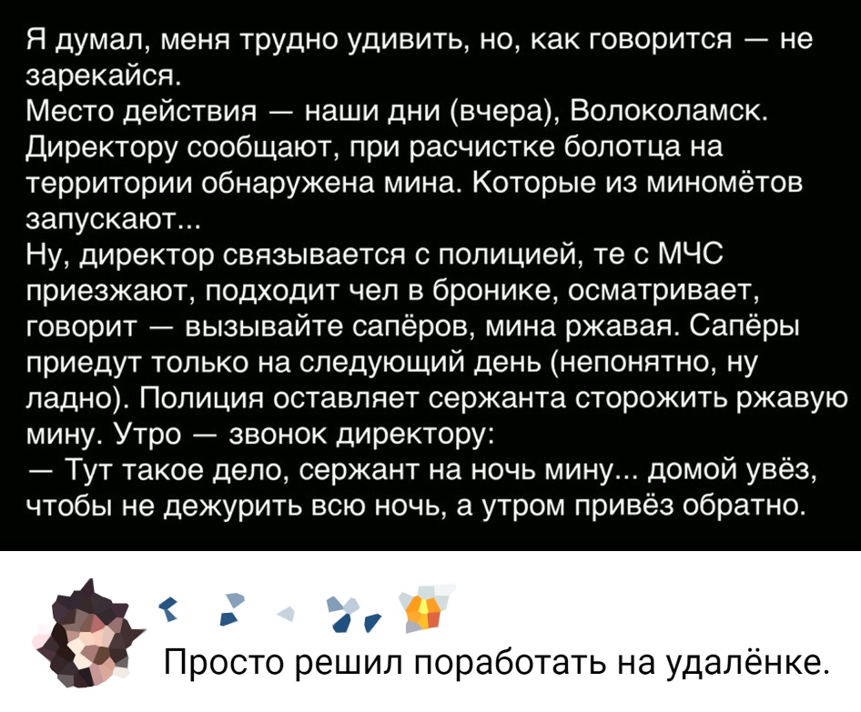 Я думал меня трудно удивить но как говорится не зарекайся Место действия наши дни вчера Волоколамск Директору сообщают при расчистке болотца на территории обнаружена мина Которые из миномётов запускают Ну директор связывается с полицией те с МЧС приезжают подходит чел в бронике осматривает говорит вызывайте сапёров мина ржавая Сапёры приедут только на следующий день непонятно ну ладно Полиция оста