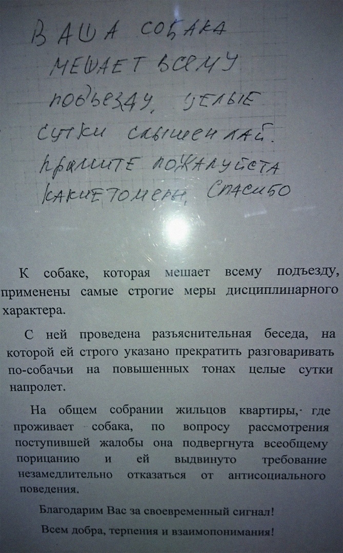 _ 0674 ему 527447 ТСТМ векшт Я _ Магшп ложы у до ЫШЕЪм т 7746450 К собаке которая мсшает всему подъезду применены самые строгие меры дисциплинарного характера С ней проведена разъяснительная беседа на которой ей строго указано прекратить разговаривать тссобачьи на повышенных тонах целые суши напролет