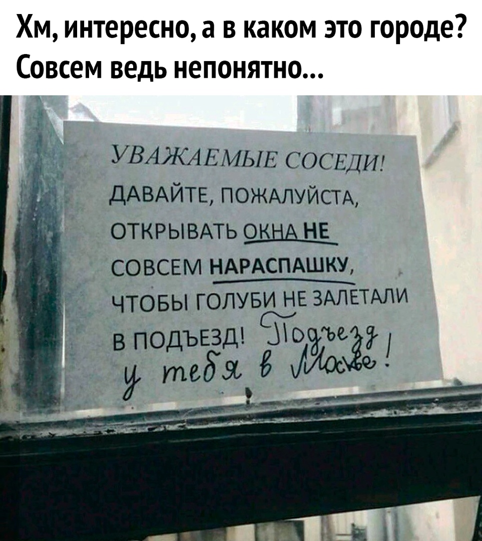 Хм интересно а в каком это городе Совсем ведь непонятно УВАКАЕМЫЕ СОСЕДИ ДАВАЙТЕ ПОЖАЛУЙСТА открывмь окна не совсем НАРАСПАШКУ чтОвы голуви не ЗАЛЕТАЛИ вподъезд Лоре тебя хМос