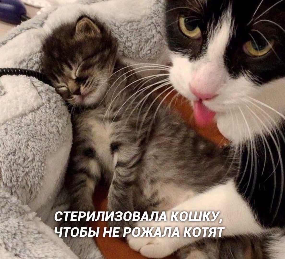 ТОБЫ НЕ Р ы