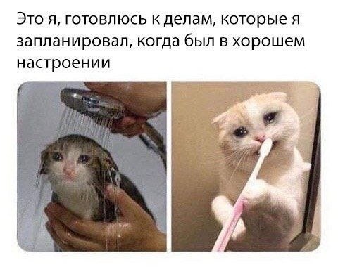 ЭТО Я ГОТОБЛЮСЬ К делам КОТОРЫЕ Я запланировал когда был В хорошем настроении
