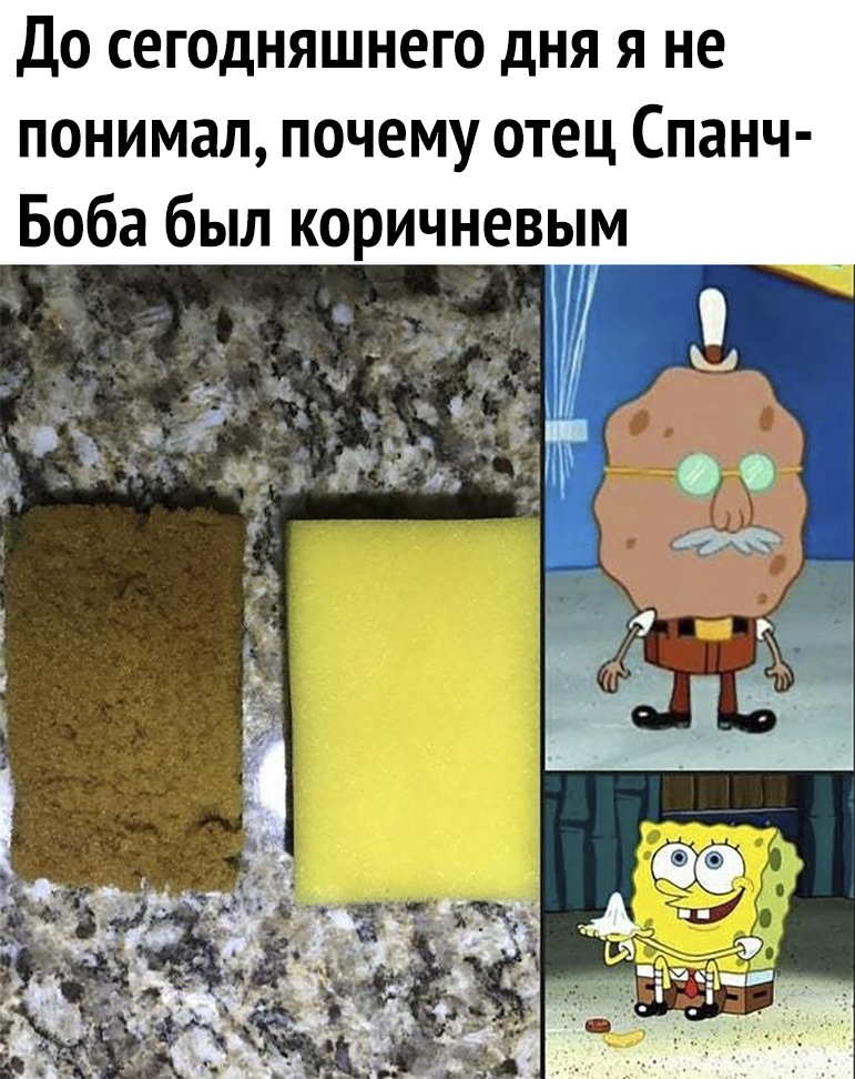 До сегодняшнего дня я не понимал почему отец Спанч Боба был коричневым А