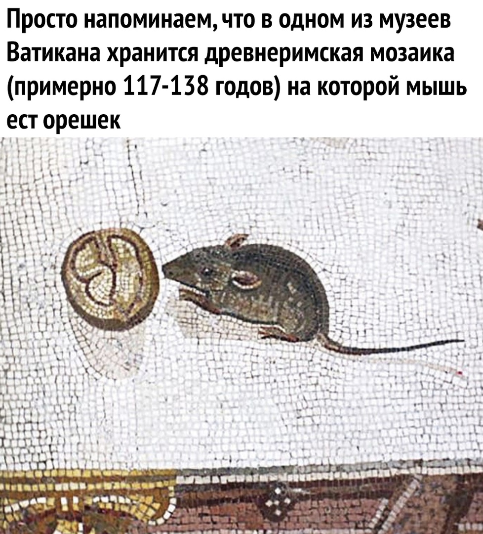 Просто напоминаем что в одном из музеев Ватикана хранится древнеримская мозаика примерно 117 138 годов на которой мышь ест орешек у