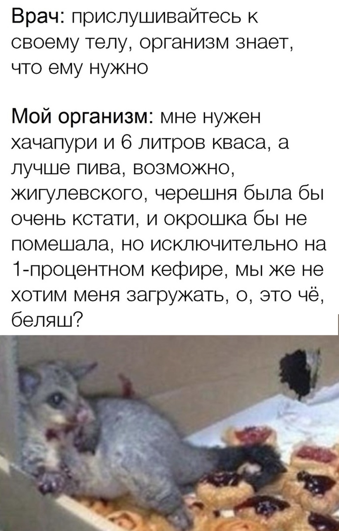 Врач прислушивайтесь к своему телу организм знает что ему нужно Мой организм мне нужен хачапури и 6 литров кваса а лучше пива возможно жигулевского черешня была бы очень кстати и окрошка бы не помешала но исключительно на 1 процентном кефире мы же не хотим меня загружать 0 это чё беляш