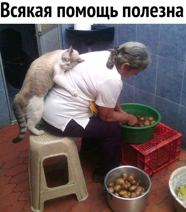 Всякая помощь полезна