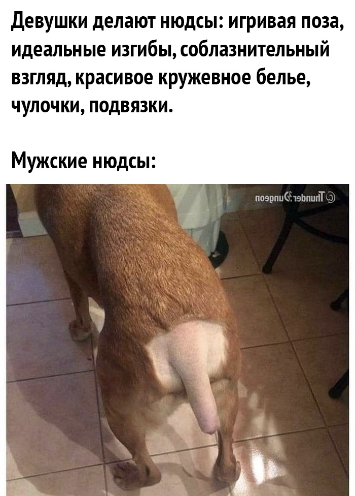 ДЕВУШКИ делают НЮДСЫ ИГРИВЗЯ поза идеальные ИЗГИбЫ соблазнительный ВЗГЛЯД красивое кружевное белье ЧУЛОЧКИ ПОДВЯЗКИ Мужские нюдсы ппврппС юішшП
