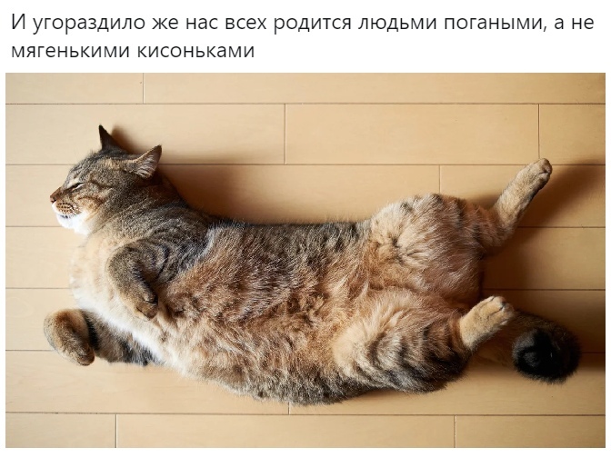 И угораздило же нас ВСЕХ РОДИТСЯ ЛЮДЬМИ погаными 6 НЕ МЯГЕНЬКИМИ КИСОНЬКЭМИ