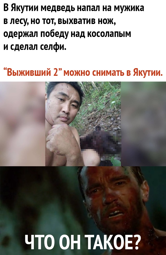 В Якутии медведь напал на мужика в лесу но тот выхватив нож одержал победу над косолапым и сделал селфи Выживший 2 можно снимать в Якутии ЧТО ОН ТАКОЕ