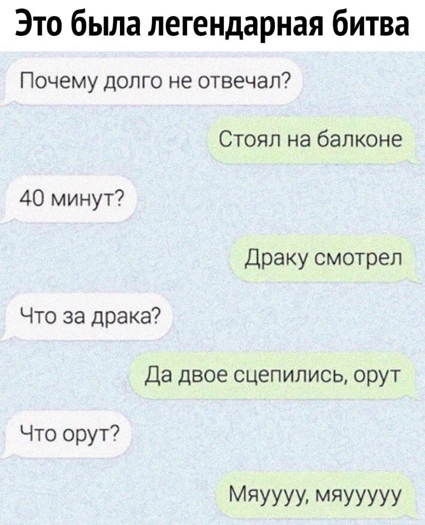 Это была легендарная битва Почему долго не отвечал Стоял на балконе 40 минут Драку смотрел Что за драка Да двое сцепились орут Что орут МЯУУУУ МЯУУУУУ