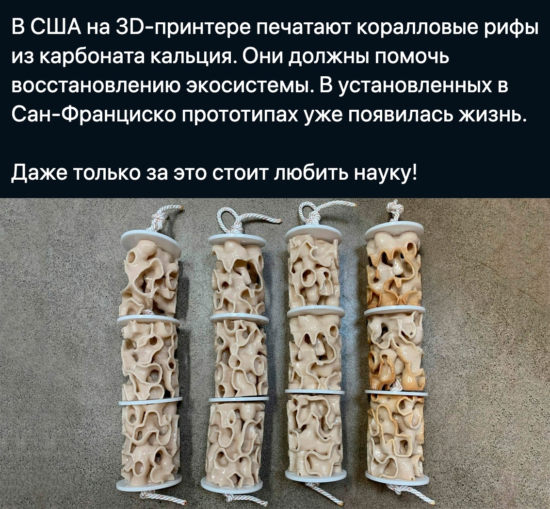 В США на ЗВ принтере печатают коралловые рифы из карбоната кальция Они должны помочь восстановлению экосистемы В установленных в Сан Франциско прототипах уже появилась жизнь Даже только за это стоит любить науку