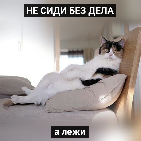 НЕ СИДИ БЕЗ ДЕЛА