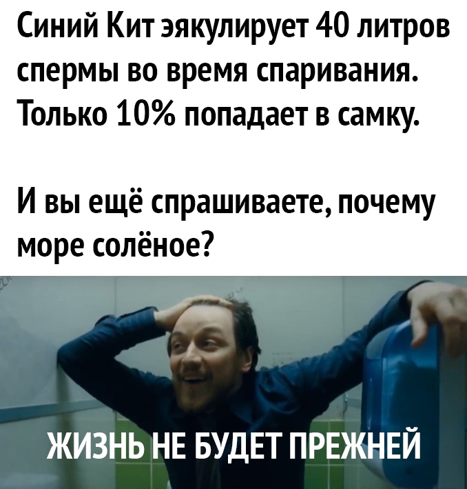 Синий Кит эякулирует 40 литров спермы во время спаривания Только 10 попадает в самку И вы ещё спрашиваете почему море солёное ЖИЗНЬ НЕ БУДЕТ ПРЕЖНЕЙ