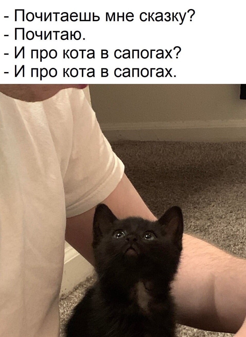 Почитаешь мне сказку Почитаю И про кота в сапогах И про кота в сапогах