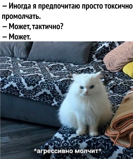 Иногда я предпочитаю просто токсично промолчать Может тактично агрессивно мопчит