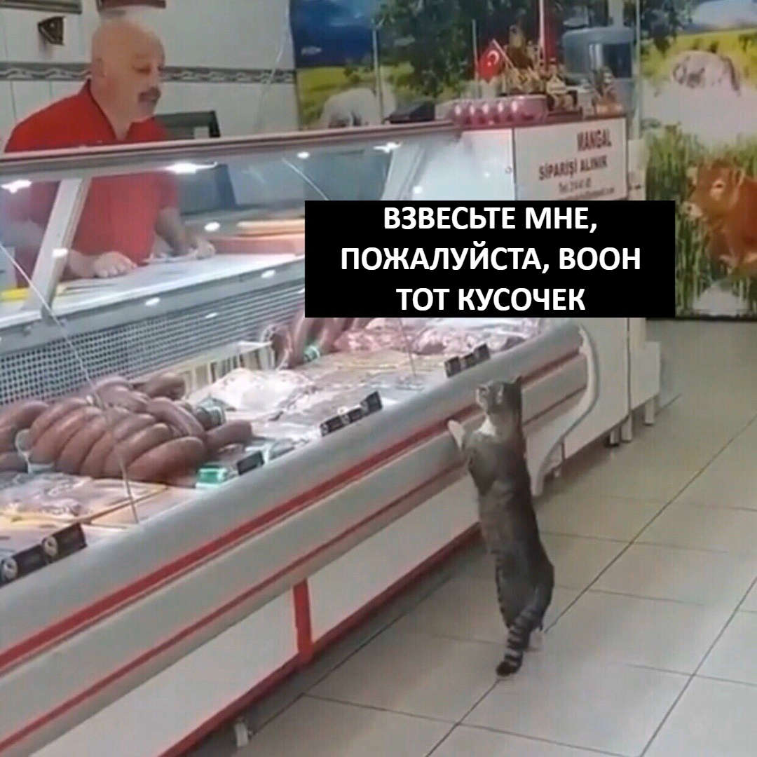 взввсьтв мнв пождлуйстд воон тот кусочвк