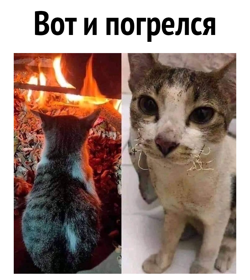 Вот и погрелся