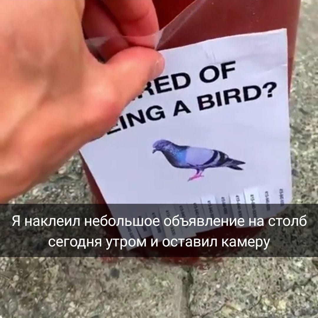 ъ г Ъ і в А с М _ ь _ __ 9 _ Ъ _ _ _ _ г г к 19 ЗГЫМА